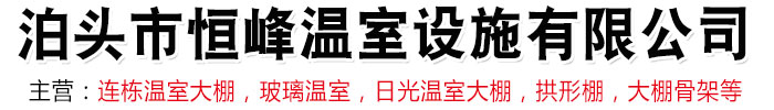 河北溫室大棚,河北溫室大棚骨架,河北連棟溫室大棚,河北玻璃溫室-泊頭市恒峰溫室設(shè)施有限公司